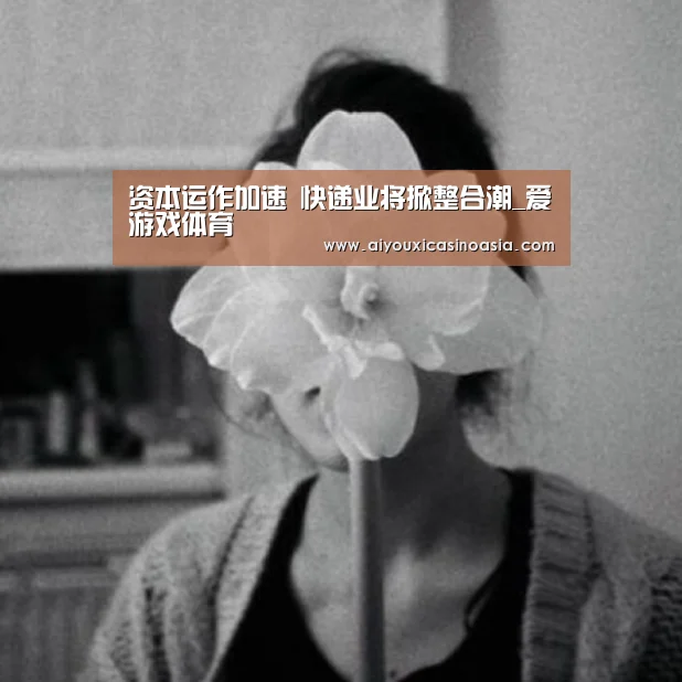 资本运作加速 快递业将掀整合潮_爱游戏体育(图4) 爱游戏竞猜