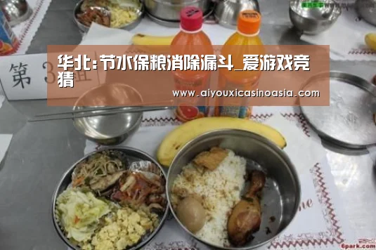 华北:节水保粮消除漏斗_爱游戏竞猜(图1) 爱游戏体育