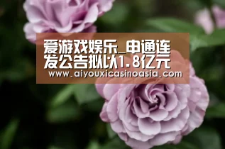 爱游戏娱乐_申通连发公告拟以1.8亿元增资丰巢速递(图4) 爱游戏赛事