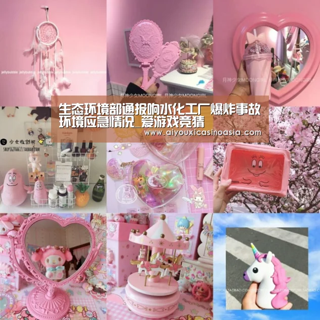 生态环境部通报响水化工厂爆炸事故环境应急情况_爱游戏竞猜(图2) 爱游戏娱乐