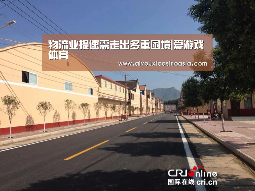 物流业提速需走出多重困境|爱游戏体育(图1) 爱游戏体育