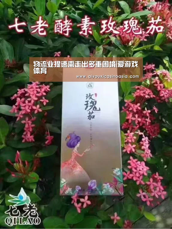 物流业提速需走出多重困境|爱游戏体育(图3) 爱游戏娱乐