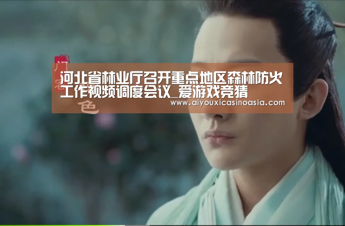 河北省林业厅召开重点地区森林防火工作视频调度会议_爱游戏竞猜(图3) 爱游戏娱乐